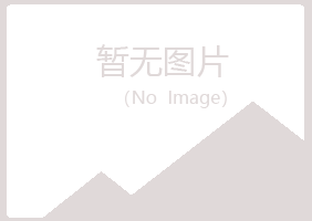 龙岩从梦化学有限公司